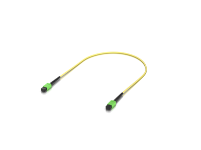 Ubiquiti, OM4 MPO-12 UPC Fiber Patch Cable, 0,5M