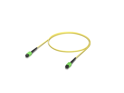 Ubiquiti, OM4 MPO-12 UPC Fiber Patch Cable, 1M